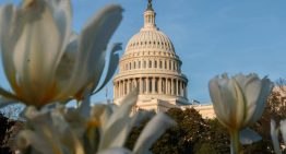 Servicio de investigación del Congreso de EEUU publicó informe sobre la transición en Venezuela