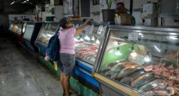 A dos meses de los terremotos en Venezuela, La Guaira regresa al trabajo sin turismo y entre los escombros