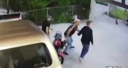 EN VIDEO: El fuerte sismo que sacudió la Colonia Tovar quedó captado por cámaras de seguridad