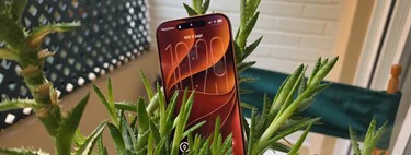 Qué iPhones recibirán iOS 27 a partir del 14 de septiembre