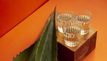 Consolidación del mezcal en Puebla, será con valor tecnológico: Armenta