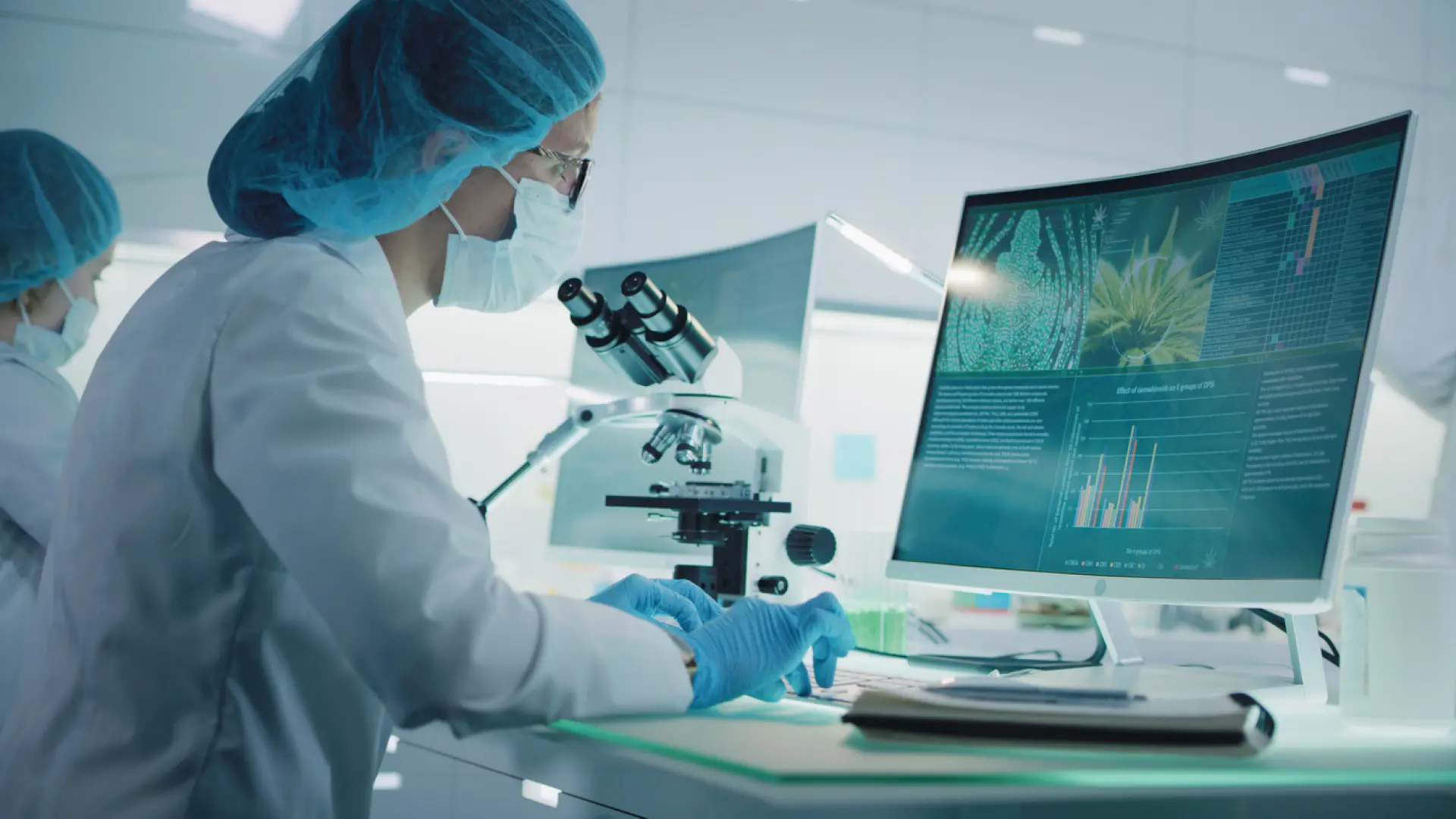 Desvelan el mecanismo que hace que el sistema inmunitario ayude al crecimiento de un tumor