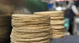Tortillas de maíz ¿Cómo reconocer una de calidad y qué estás pagando por kilo?