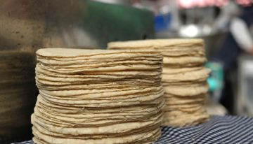 Tortillas de maíz ¿Cómo reconocer una de calidad y qué estás pagando por kilo?