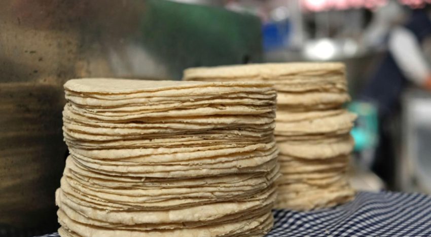 Tortillas de maíz ¿Cómo reconocer una de calidad y qué estás pagando por kilo?