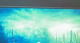 Electronic Arts tras su salida del Nasdaq busca la expansión de sus comunidades globales