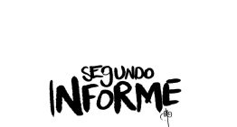 Segundo Informe