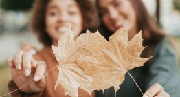 El otoño no solo cambia el clima, también nuestra manera de vivir nuestros días