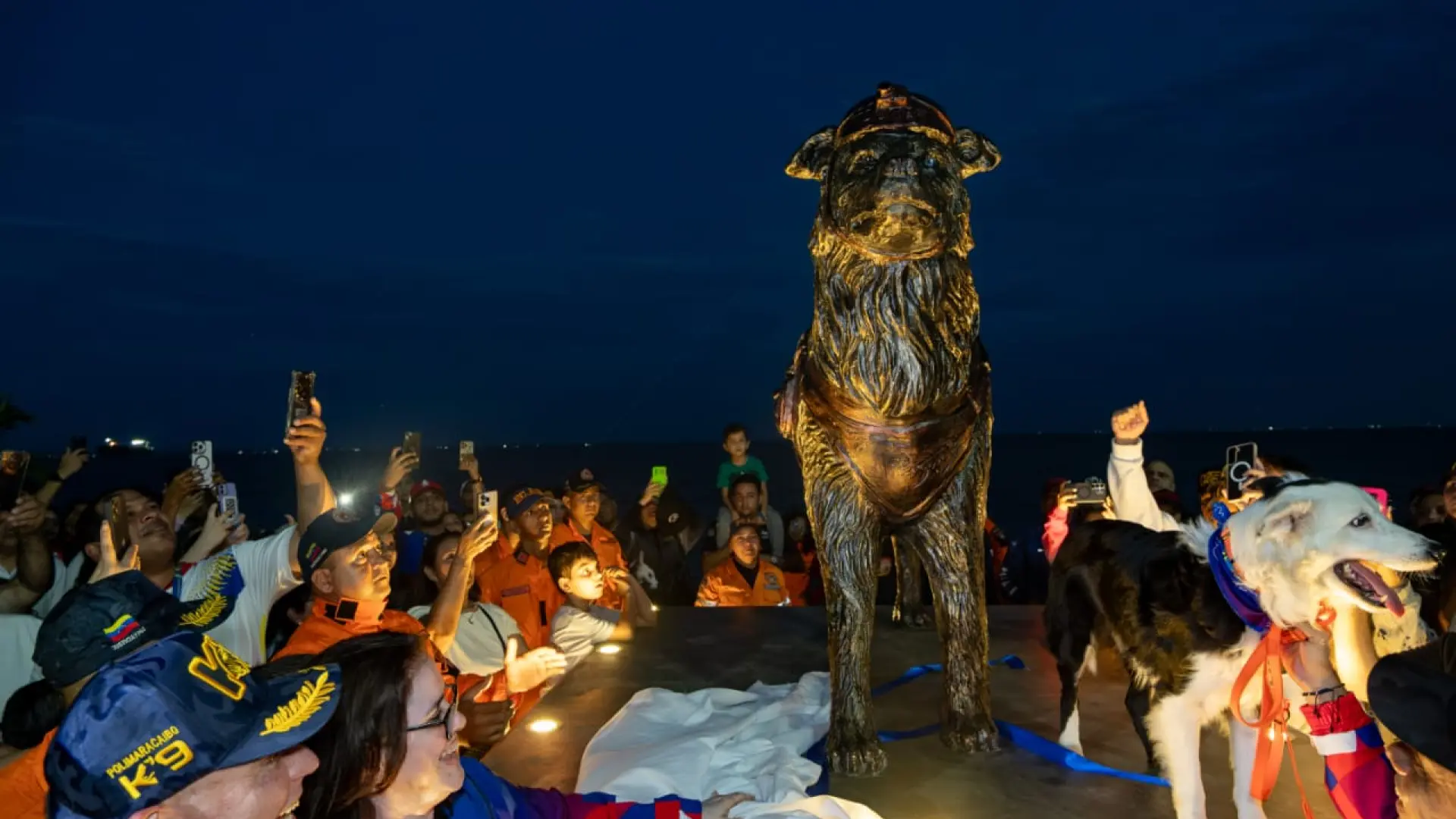 Venezuela rinde homenaje a Tsunami: el perro de rescate es recibido como un héroe y ya tiene su propia estatua