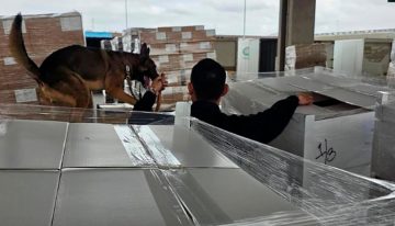 Personal de aduanas y elementos de la GN aseguraron 1,357 kilos de metanfetamina en Aduana de Tijuana