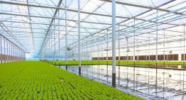 EVA apuesta por agricultura sostenible
