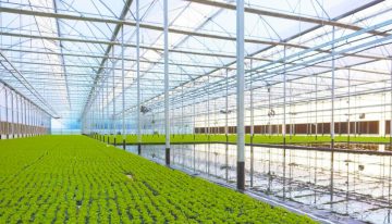 EVA apuesta por agricultura sostenible