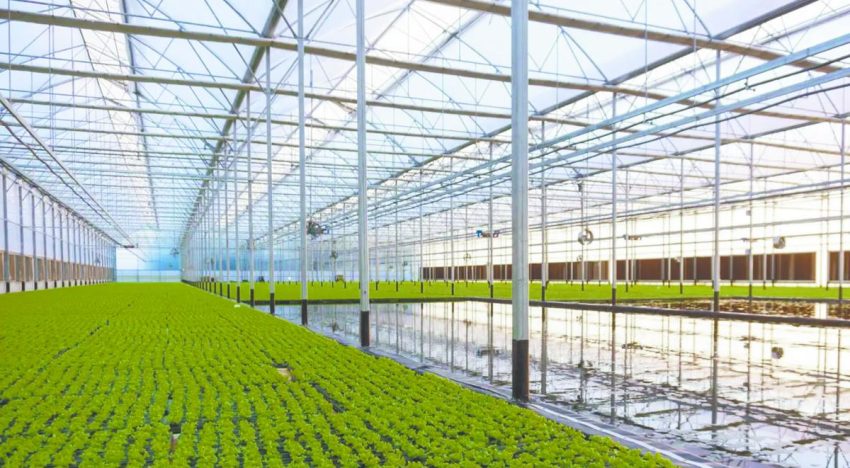 EVA apuesta por agricultura sostenible