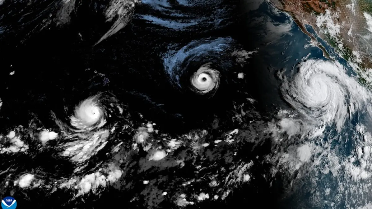 Estudio alerta que El Niño podría causar 451,000 muertes adicionales en el mundo hasta febrero