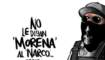 Defensora electoral
