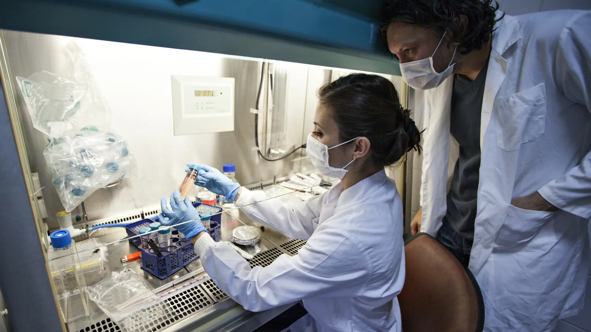 El exposoma, la huella de todo lo que nos rodea que la ciencia relaciona con varios tipos de cáncer en edades tempranas