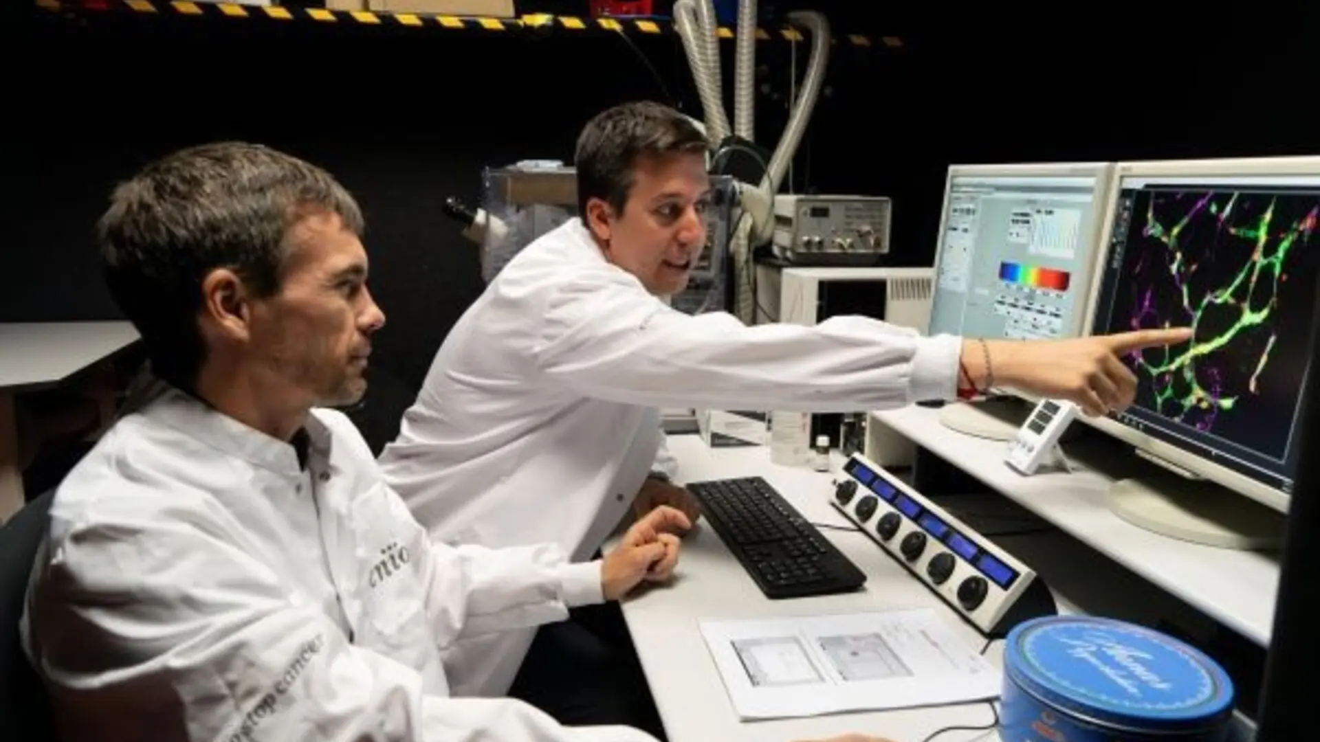 Descubren una vía para combatir la metástasis cerebral antes de que aparezcan los síntomas