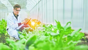 La ciencia tecnológica detrás de los granos ¿Cómo está impactado la IA?
