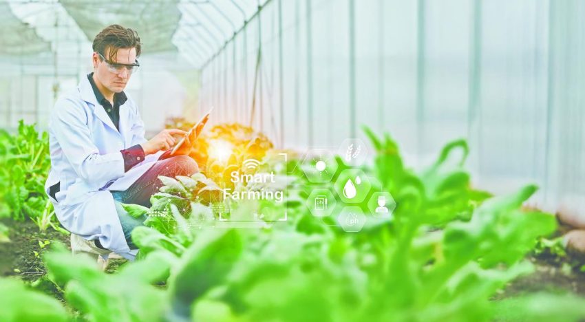 La ciencia tecnológica detrás de los granos ¿Cómo está impactado la IA?