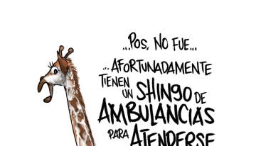 Shihuahua