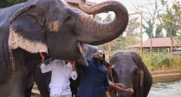 Las polémicas de Vantara, firma india a la que Delcy Rodríguez entregó los zoológicos venezolanos