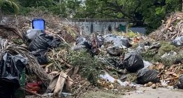 En IMÁGENES: abandono chavista consume al Parque del Este en Caracas