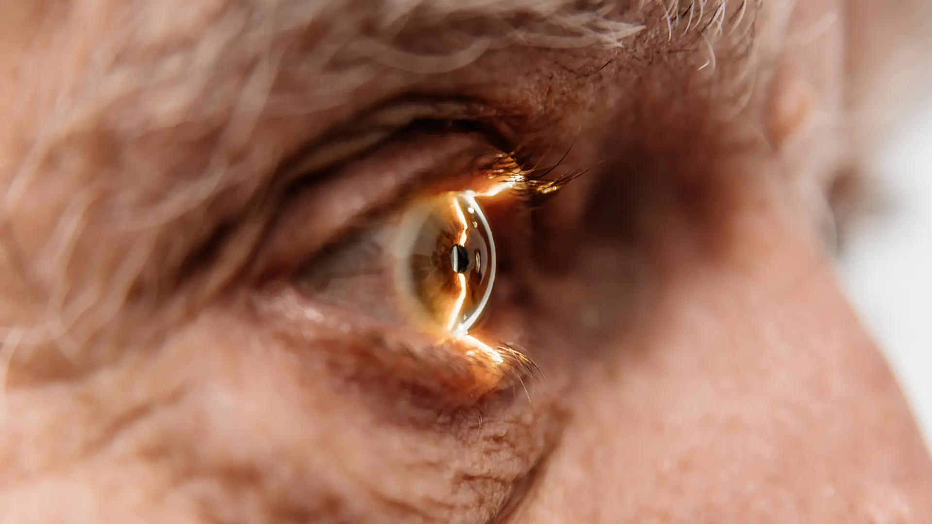 Harvard prueba en humanos una técnica destinada a restaurar visión en personas con glaucoma