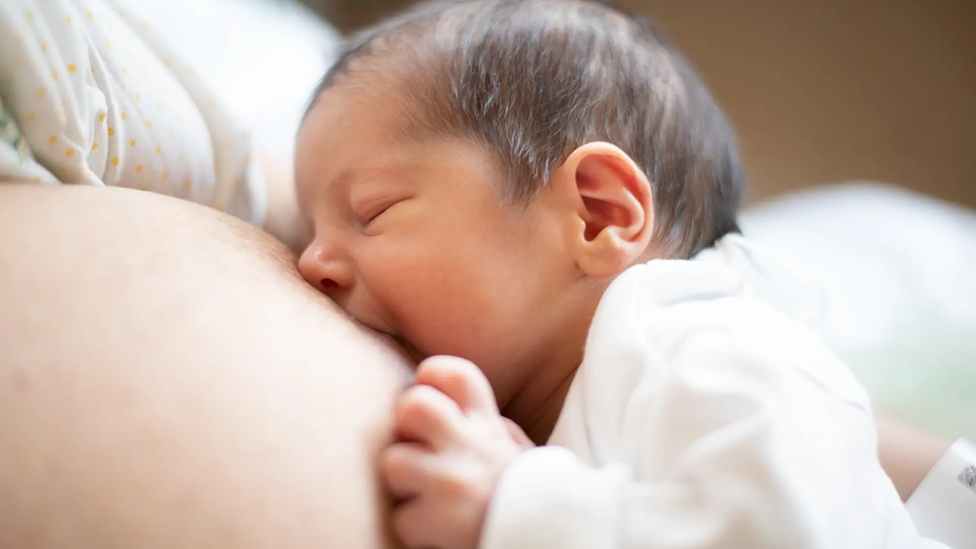Más de 25.000 mujeres de toda España donan su leche materna para desarrollar un test que anticipe el riesgo de cáncer de mama