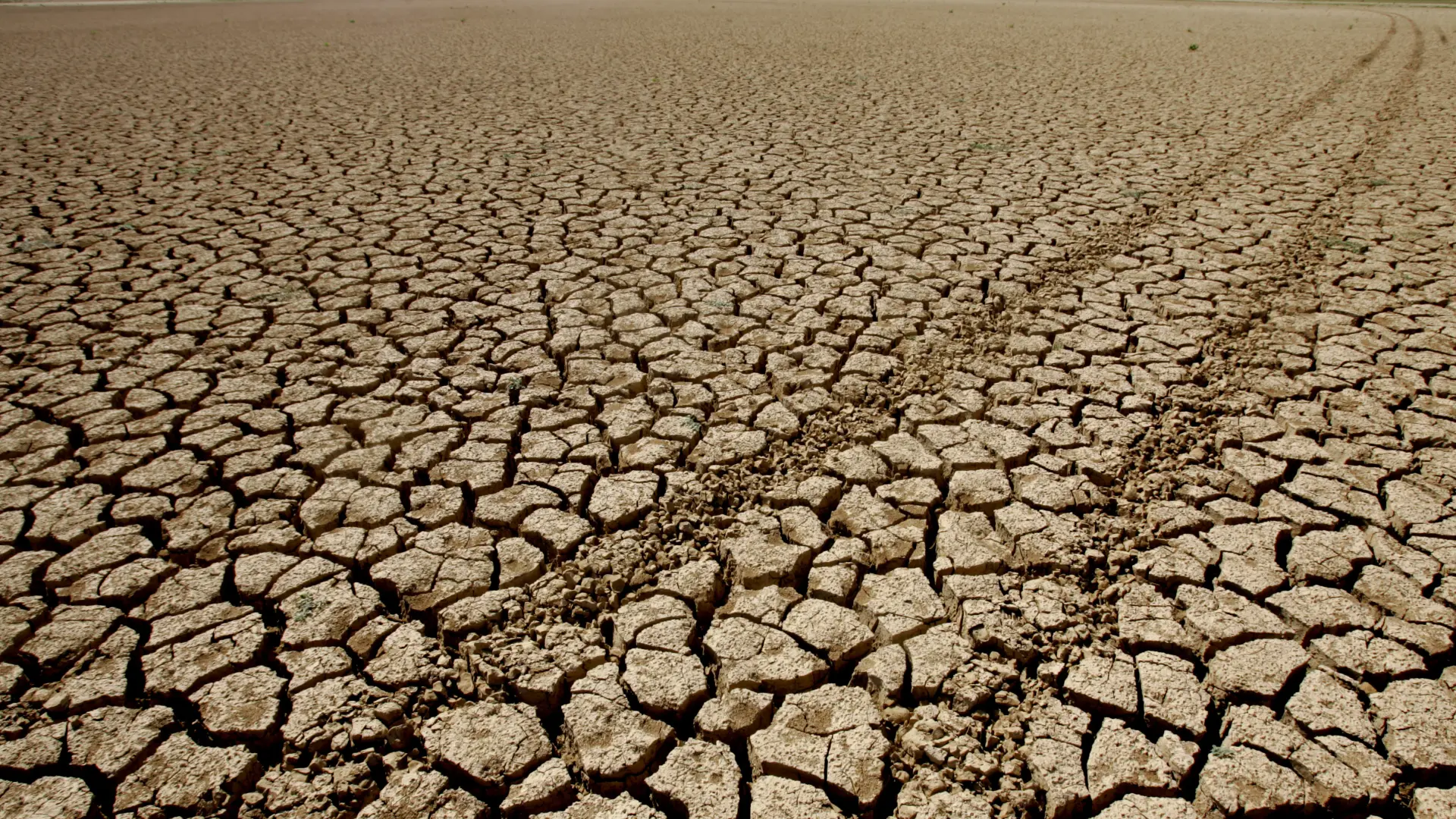 El Super Niño podría causar la muerte por calor de 450.000 personas en los próximos seis meses