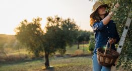 Dan Buettner, experto en longevidad: «Ésta es la nueva zona azul del planeta que podría esconder la clave para que las mujeres vivan más años»