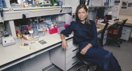 María Mittelbrunn, doctora en bioquímica especializada en inmunología: «La edad no está en el DNI sino en el sistema inmune. Nosotros estudiamos cómo retrasar su envejecimiento»