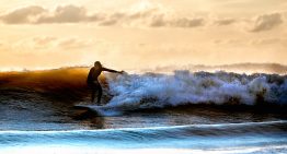 La psicóloga australiana que te ayuda a cambiar hábitos malos por buenos, como los surfistas: «no luches contra la ola, muévete con ella»