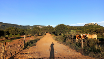 Zacatecas destina más de 594 millones de pesos al sector rural