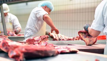 Gusano barrenador y alertas sanitarias provocan caída del 5% en matanza de ganado en Puebla
