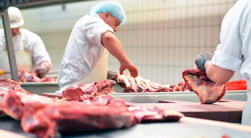 Gusano barrenador y alertas sanitarias provocan caída del 5% en matanza de ganado en Puebla