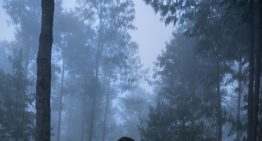 ¿Por qué nos gusta sentir miedo? La ciencia explica nuestra fascinación por las películas de terror