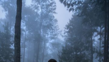 ¿Por qué nos gusta sentir miedo? La ciencia explica nuestra fascinación por las películas de terror