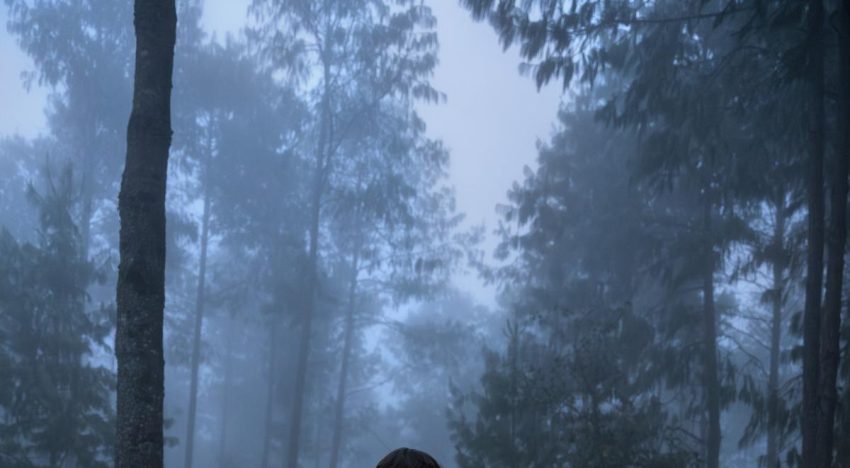 ¿Por qué nos gusta sentir miedo? La ciencia explica nuestra fascinación por las películas de terror