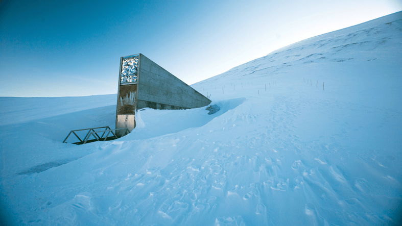 Así es la Bóveda de Svalbard: qué guarda y cómo protege las semillas de nuestros alimentos en este búnker situado en el Ártico