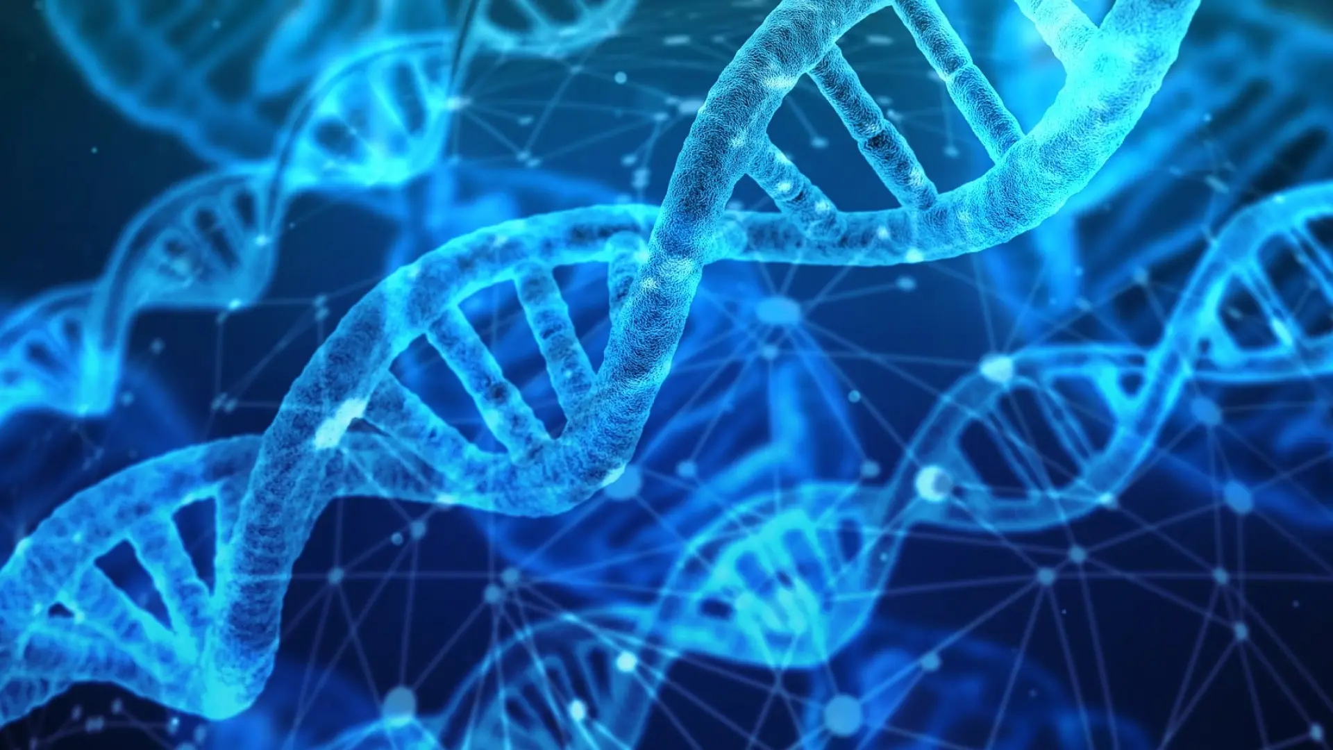 El denostado 'ADN basura' es mucho más útil de lo que parecía: ayuda a encender los genes