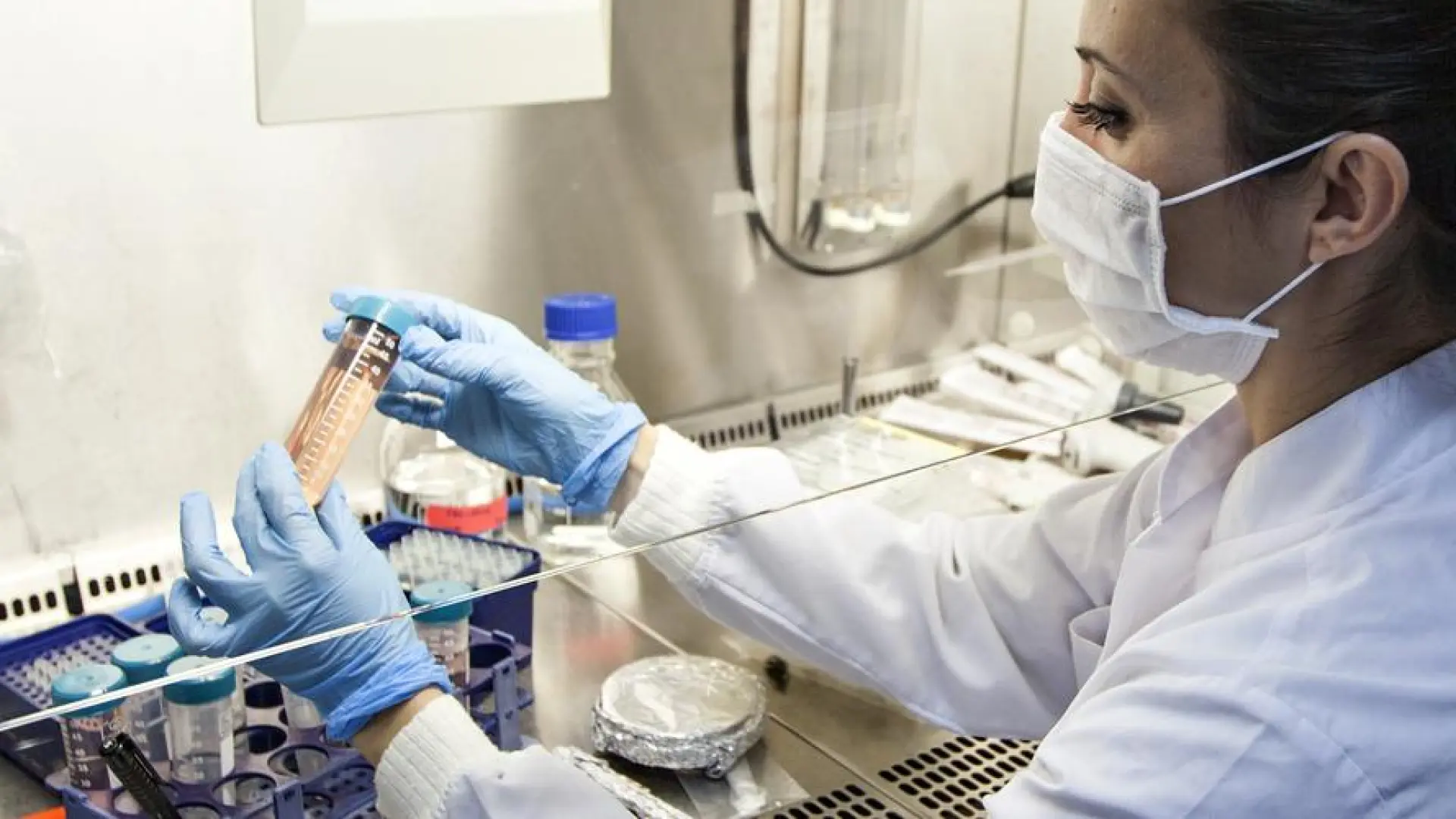 La OMS analiza los riesgos del cáncer y otras enfermedades no transmisibles según el sexo y el nivel económico