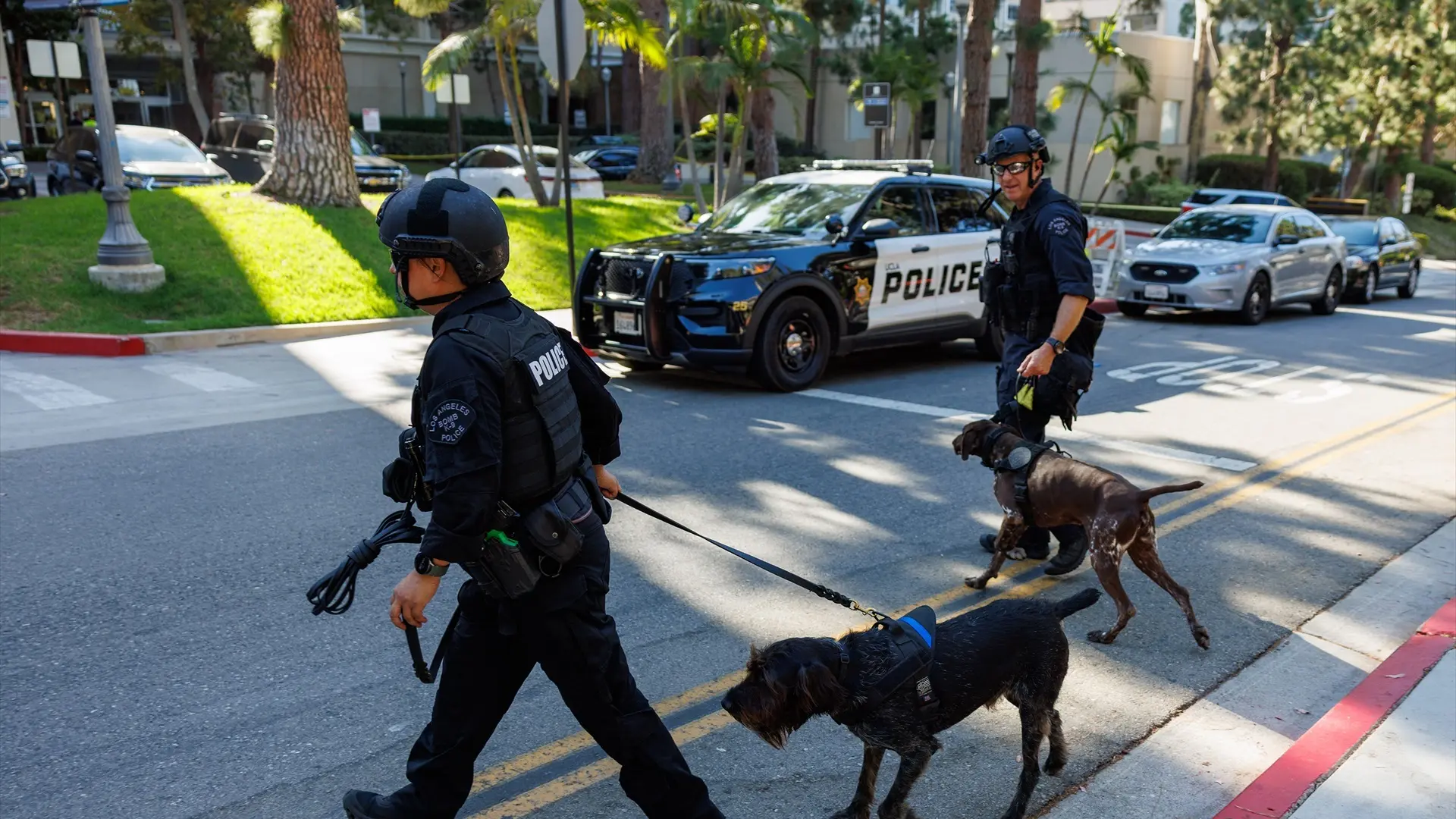 Al menos dos muertos y varios heridos tras un tiroteo en un centro comercial de Los Ángeles