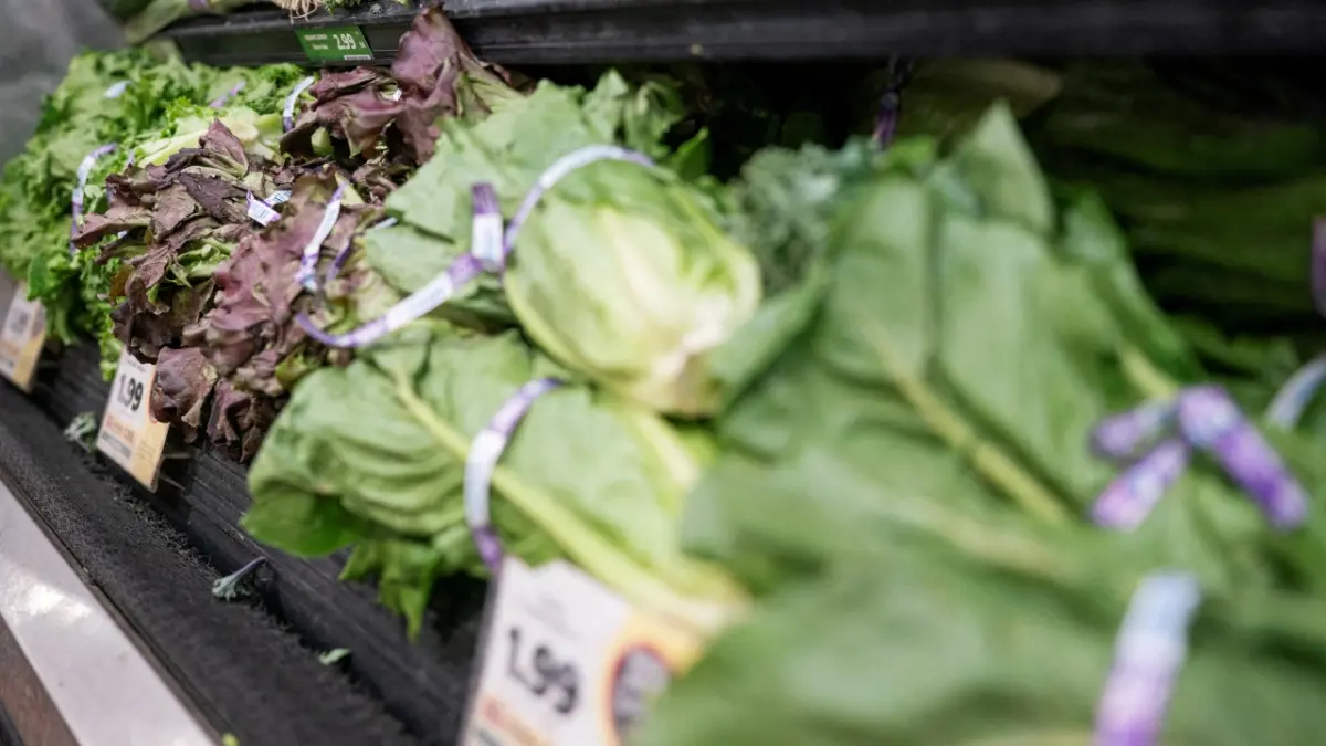 Salmonella y Cyclospora: EU cierra investigaciones sin confirmar origen en productos mexicanos