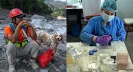 La identificación por ADN de las víctimas del alud trae de cabeza a Nepal