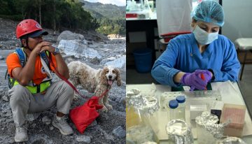 La identificación por ADN de las víctimas del alud trae de cabeza a Nepal