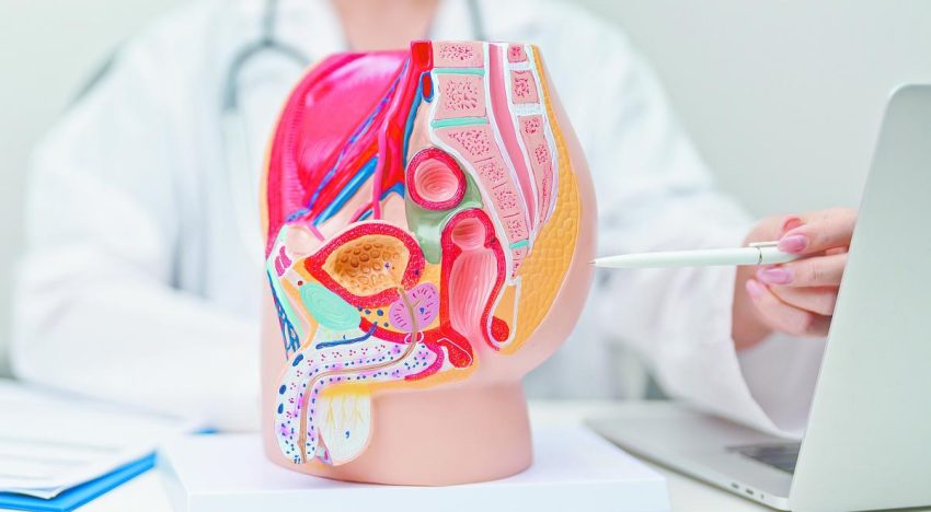 Cáncer de próstata en México: señales de alerta y claves para detectarlo