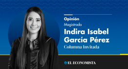 La autoridad garante del Poder Judicial de la Federación