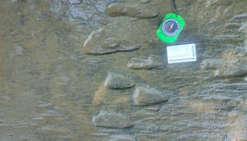Descubren 50 huellas de dinosaurio en Apatzingán