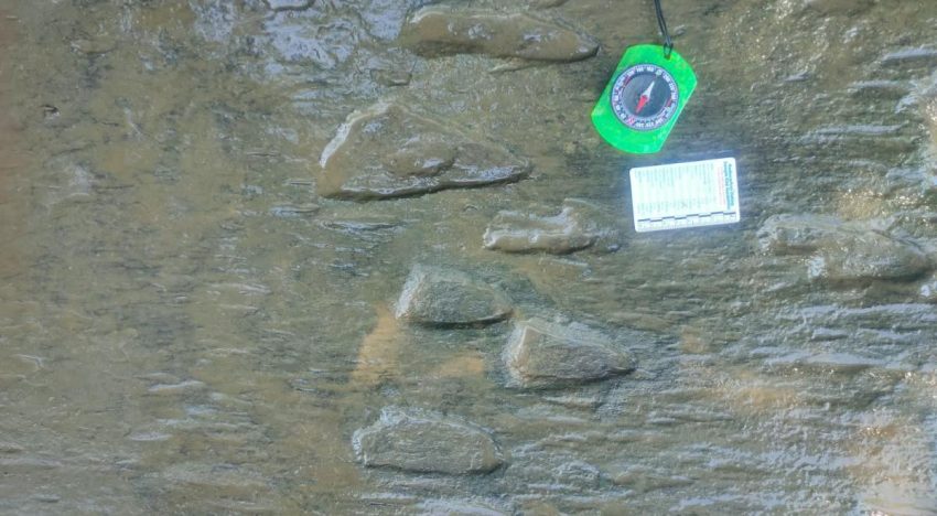Descubren 50 huellas de dinosaurio en Apatzingán