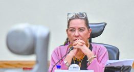 Sin acuerdo en el INE para sustituto provisional de Taddei